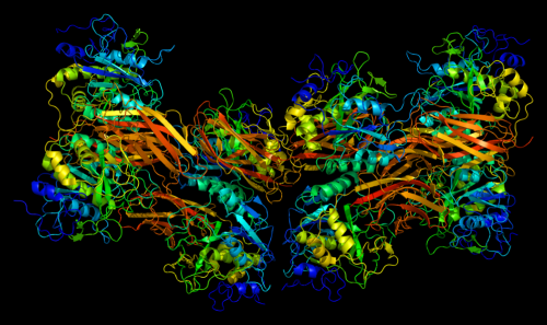 Protein_FURIN_PDB_1p8j.png