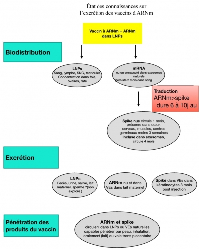 Schema.jpg